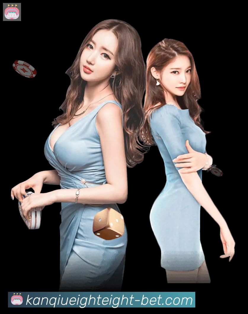 互动解说服务